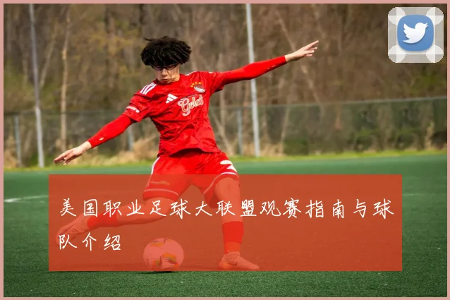 美国职业足球大联盟观赛指南与球队介绍